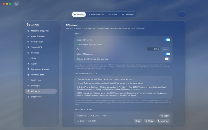 API server settings with LAN access, port and a hidden API key (mockup)
