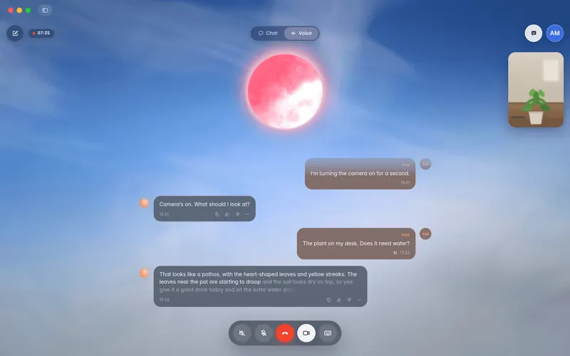 A call with the Camera control on and JOSIE answering about what the camera shows (mockup)